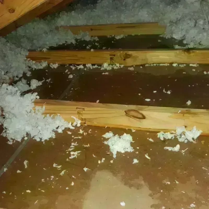 Attic Water Damage in Lakeside, MT