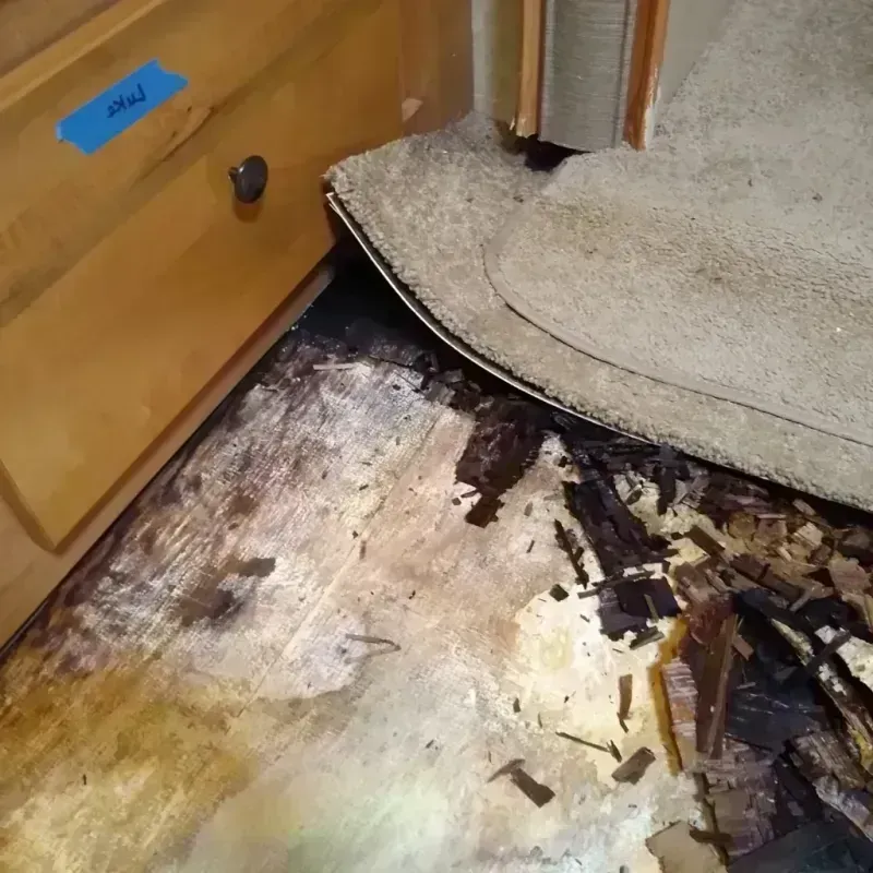 Wood Floor Water Damage in Lakeside, MT